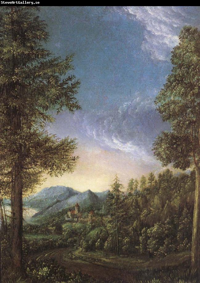 Albrecht Altdorfer View from Danube